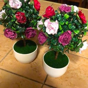 Alice in wonderland rose trees